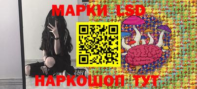 мдпв Бийск