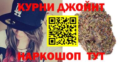 мдпв Бийск