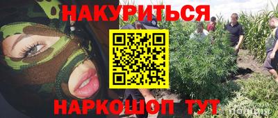 мдпв Бийск