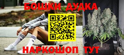 мдпв Бийск