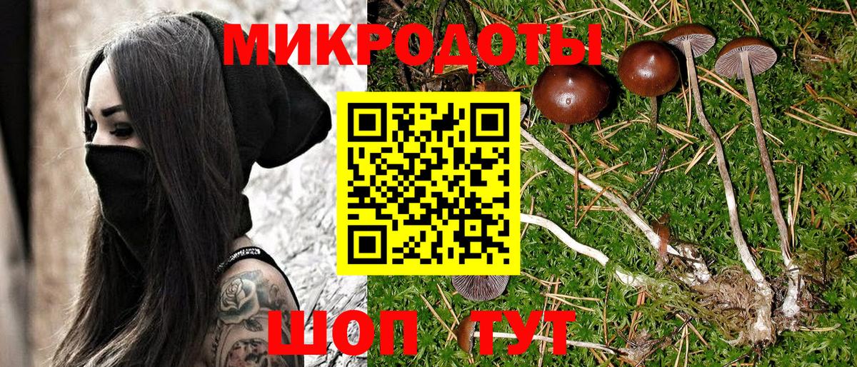 Ижевск  Псилоцибиновые грибы Cubensis  Вход с VPN 